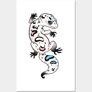 Transgender Pride Leopard Gecko Posters and Art